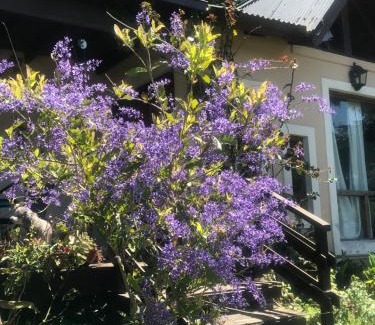 Sierra de los Padres House | EL PARAISO DEL DESCANSO