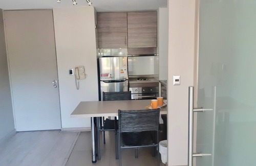 Downtown Santiago Apartment | El placer de una estadia unica