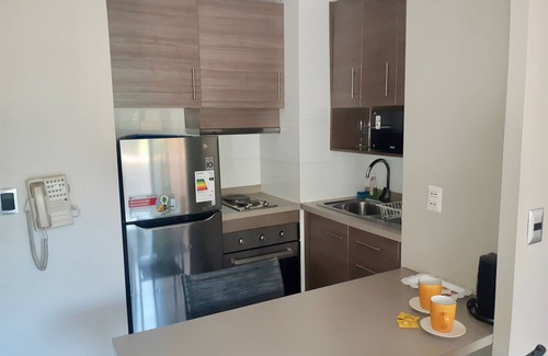 Downtown Santiago Apartment | El placer de una estadia unica