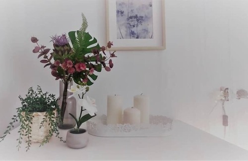 Valladolid City Centre Apartment | EL REFUGIO DE CANTARRANAS IDEAL PAREJAS