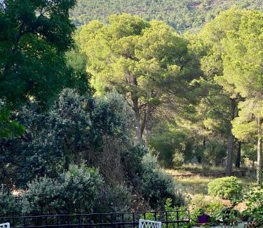 Benicassim House | El Refugio Desert de Les Palmes BENICASSIM