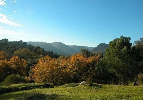 Fregenite House | El Retiro