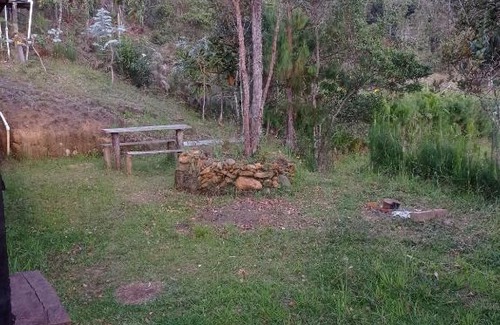 Medellin House | El rinconcito del bosque