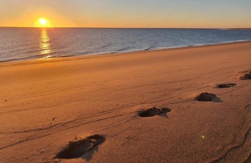 San Felipe Other | El Sanctuario Baja Glamping