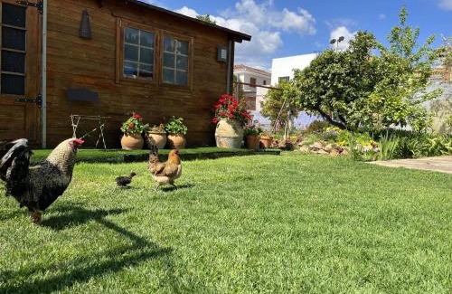 Algimia de Alfara House | El Secanet