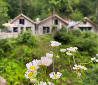 Ayder Resort | Elavina Suit Bungalov