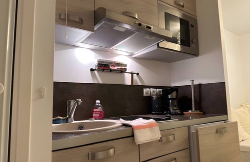 Riou - Petit Juas - Av de Grasse Apartment | Elegant Bright Cannes Apartment with AC, WiFi