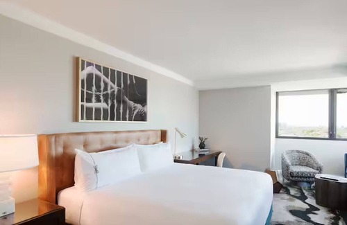 Glencoe Hotel | Elegant Pet Stay by Bush Library & NorthPark Mall