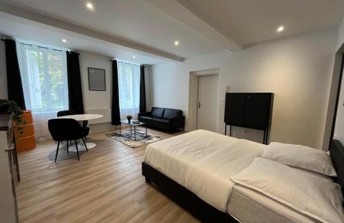 Castelnaudary Apartment | ELEGANT PIERRE FABRE-T1-Wifi-Vélo