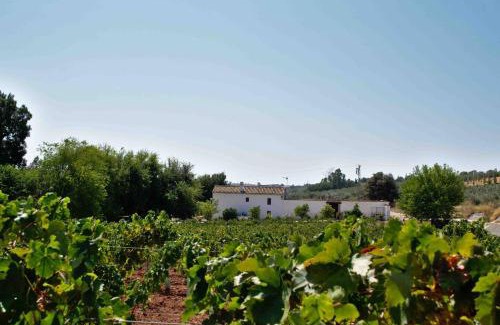 Montilla Villa | Elegant Villa in Montilla with Private Pool