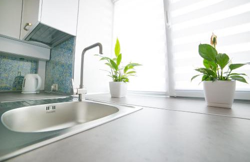 Zarichnyi District Apartment | Elegant VIP apartment