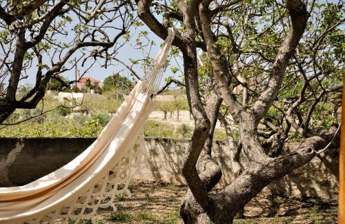 Aegina Town House | Elena's Guest House