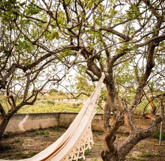 Aegina Town House | Elena's Guest House