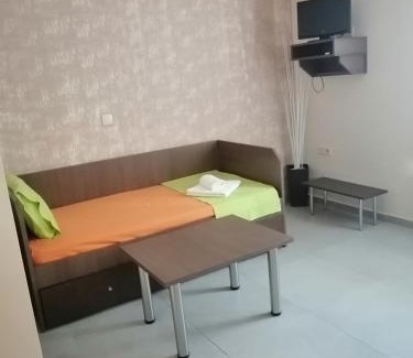 Metagkitsi Apartment | Eleni's house 1