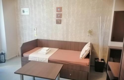 Metagkitsi Apartment | Eleni's house 3