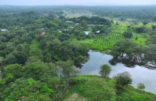 Dambulla Hotel | Elephas Nature Resort