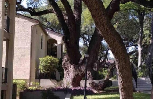 North San Antonio - SAT Condo | Eli’s and Emm’s Condo