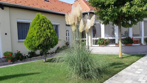 Buk Apartment | Elisabeth apartman