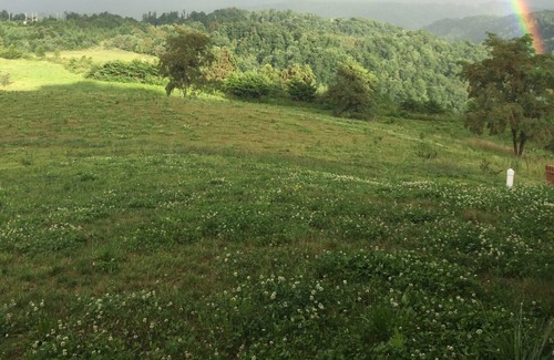 Vansant House | Elk View Farms LLC: Stay where the elk stay