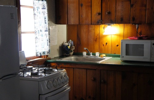 Grawn Cabin | Ellis Lake Resort - Elm Log Cabin-Interlochen/Traverse City