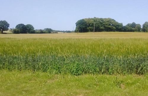 Skeyton House | Elm Tree Barn