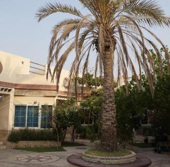 Mirdif Villa | Emirati Stay Comfort & Local Charm Villas - 3
