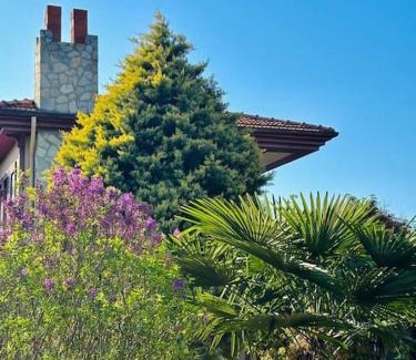Agva Apartment | Enjoy the Riverside! Agva Secret Yard