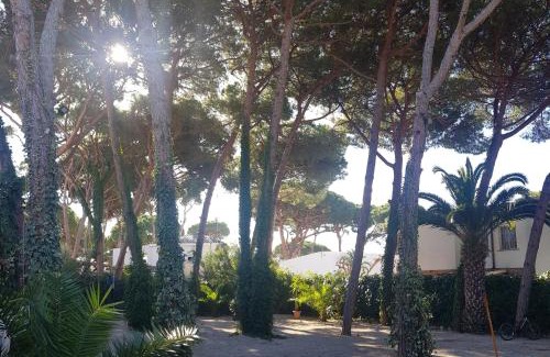 Castelldefels House | Enjoy your holidays 300m to the Mediterranean sea at Villa DIVALI