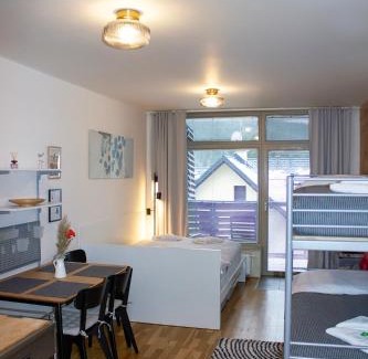 Harrachov Apartment | ENJOYHARRACHOV - Atraktivní slunné studio Čertovka v centru Harrachova s garážovým parkováním, Wifi-WLAN, Ipad, SAT, herní konzolí, Netflix zdarma a nejkrásnějším výhledem na Čertovu horu s areálem skokanských můstků a sjezdovku