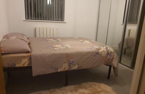 Isle of Dogs House | Ensuite Riverside Room in Canary Wharf shared Apartment