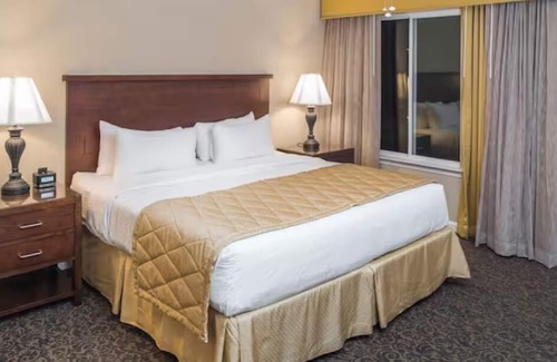 Berkeley Hotel | Ensuring a Very Comfortable & Memorable Stay! Kitchen, Free Parking, Pool!