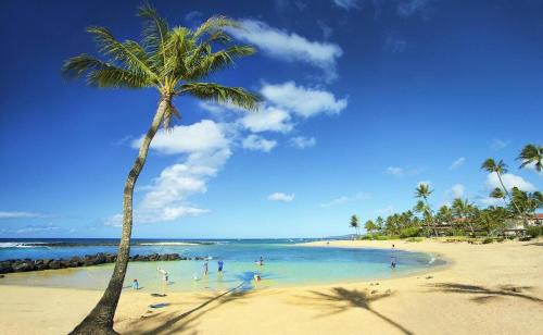 Poipu Apartment | Entire Condo with Ocean Views, Koloa, HI
