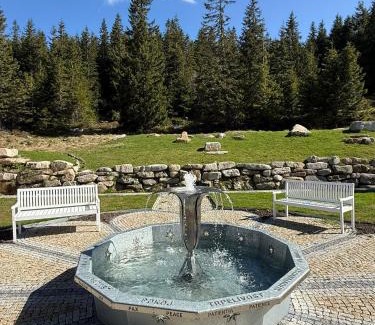 Spindleruv Mlyn Hotel | Erlebachova Bouda, hotel - Resort Svatý František