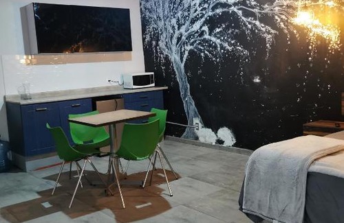 Lafayette Apartment | Estudio en chapultepec MONTREAL