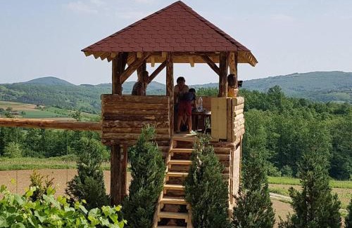 Central Serbia House | Etno domaćinstvo Milenković