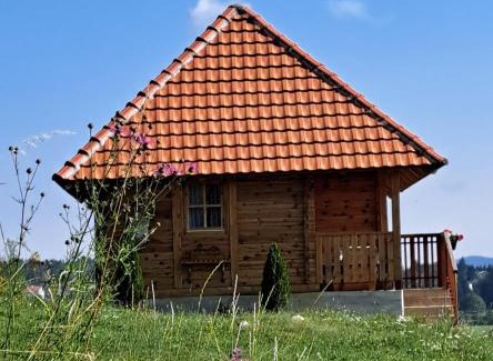 Zlatibor House | Etno domacinstvo Uvacki konaci