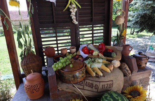 Central Banat District Bed & Breakfast | Etno kuća Teodora
