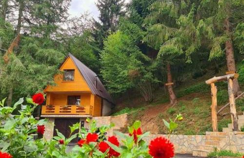 Sumece Apartment | Etno selo BISTROVO