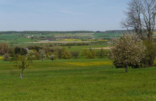 Utweiler Apartment | Eulennest, Haus Vogelgesang