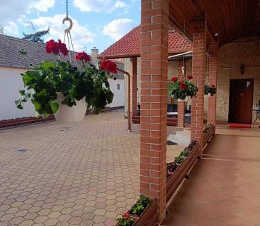 Debrecen House | Euro Panzio