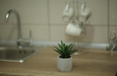 City Center Apartment | Exact Apartments