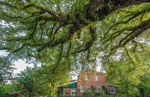 Spiekeroog House | Exceptional and exclusive vacation home with East Frisian charm.