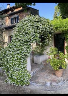 La Fourragere House | EXCEPTIONNEL, maison de vacances dans parc, climatisation, parking, calme assuré