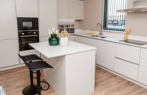 Hull Old Town Apartment | Executive Duplex Apartment Park view