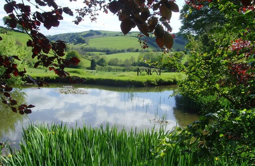 Wheddon Cross Cottage | Exford Cottage is located in the heart of Exmoor National Park at Wheddon Cross. Dog friendly