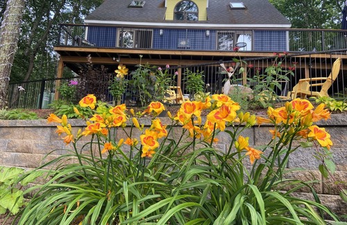 Shapleigh House | Experience the “view” on Square-make family memories-50+ reviews