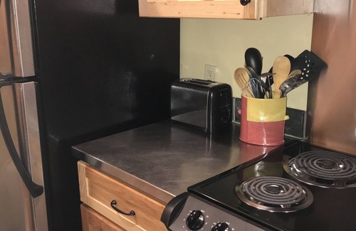 Crested Butte Condo | Exquisite Mountain View! Great Location on Free Bus Route! 5 Star Reviews!