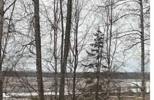 Talkeetna House | Eye of Denali: Denali View/River Front