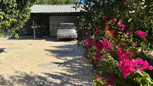 Konyaalti Villa | Eylül Bungalow