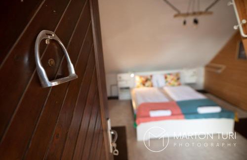 Piliscsaba Apartment | Ezüstkengyel Apartman
